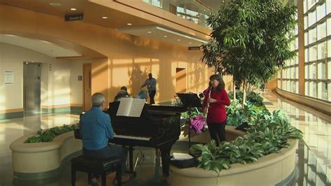 Music as Medicine: Siblings strike the right chord for patients at Glenbrook Hospital